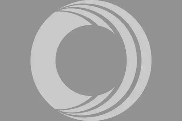 Global Management Team Placeholder