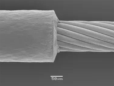Laser Stripping Fine Wire Processing SEM Image at 50um